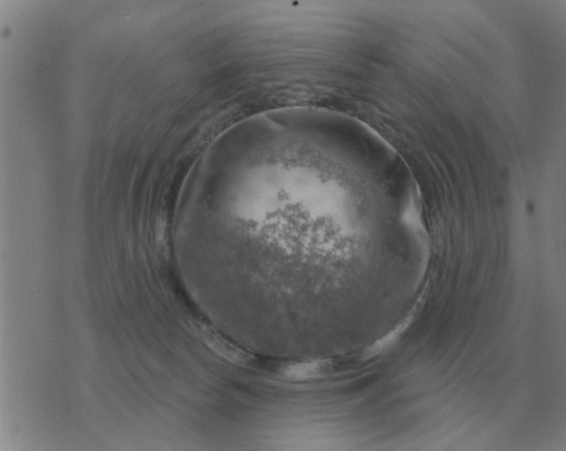 X0000074340178200609082106