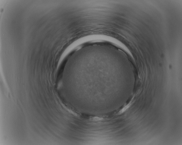 X0000074340180200609082106