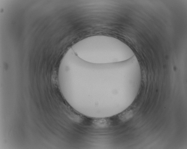 X0000074340181200609082106