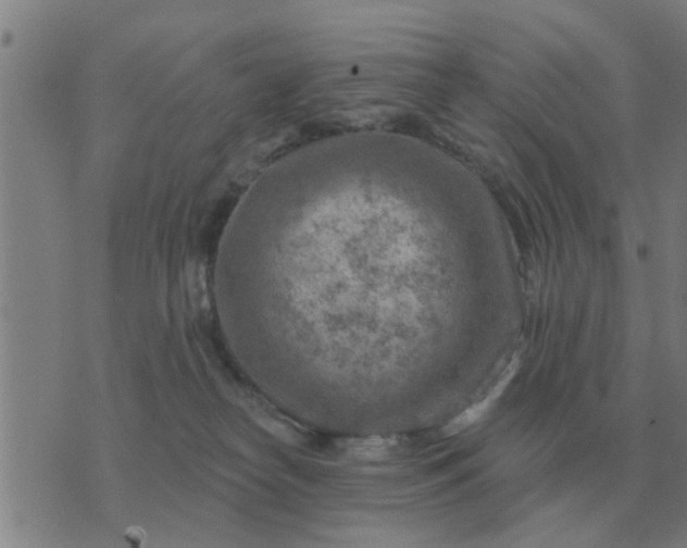 X0000074340182200609082106