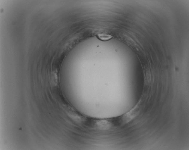 X0000074340183200609082106