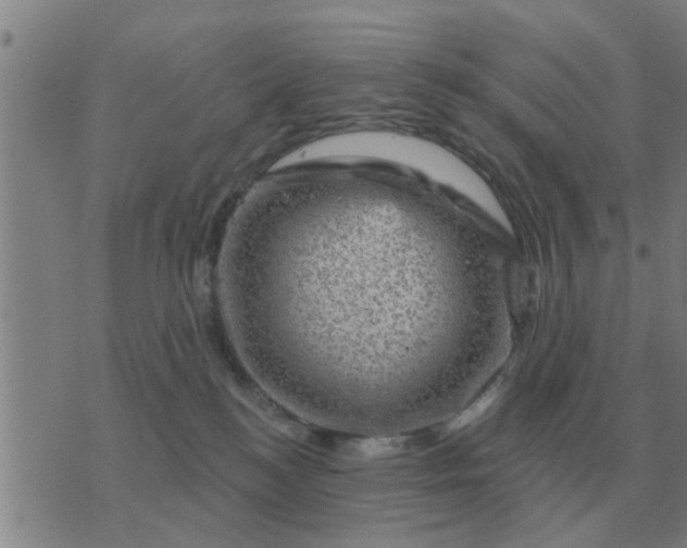 X0000074340184200609082106