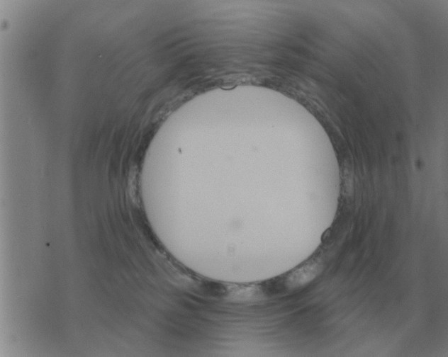 X0000074340185200609082106