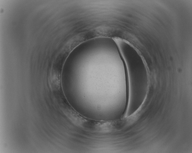 X0000074340186200609082106