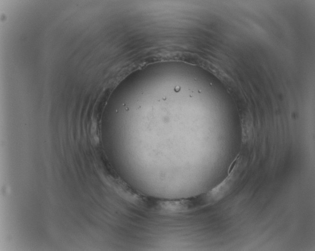 X0000074340187200609082106