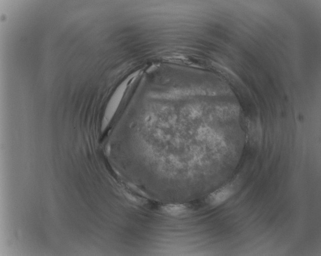 X0000074340189200609082106