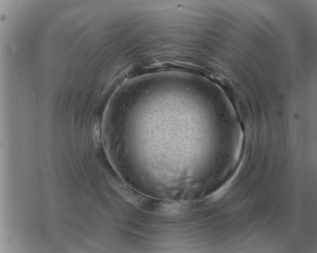 X0000074340190200609082106