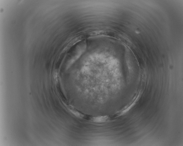 X0000074340191200609082106