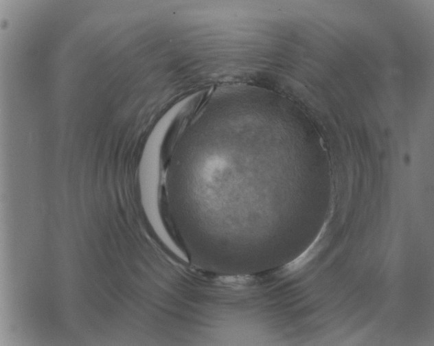 X0000074340192200609082106