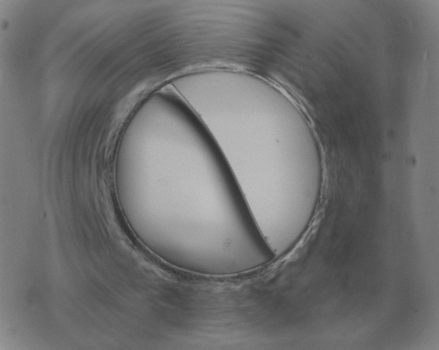 X0000074340193200609082106