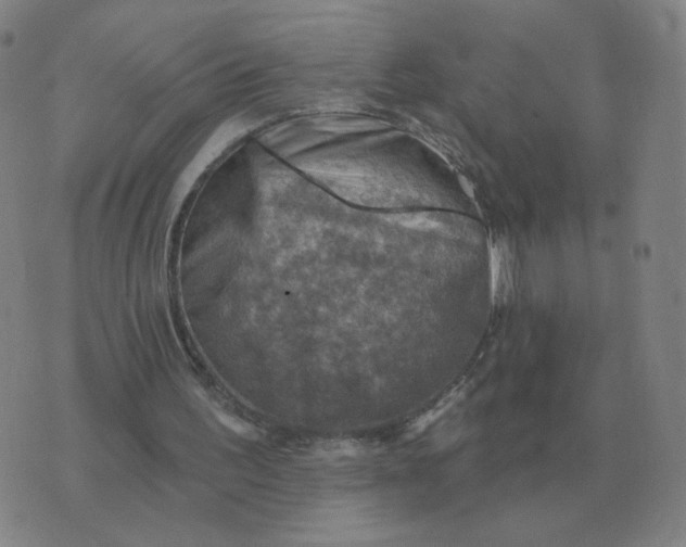 X0000074340195200609082106