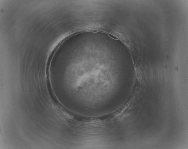 X0000074340196200609082106