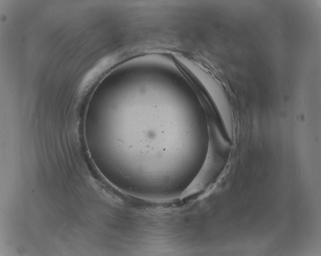 X0000074340197200609082106