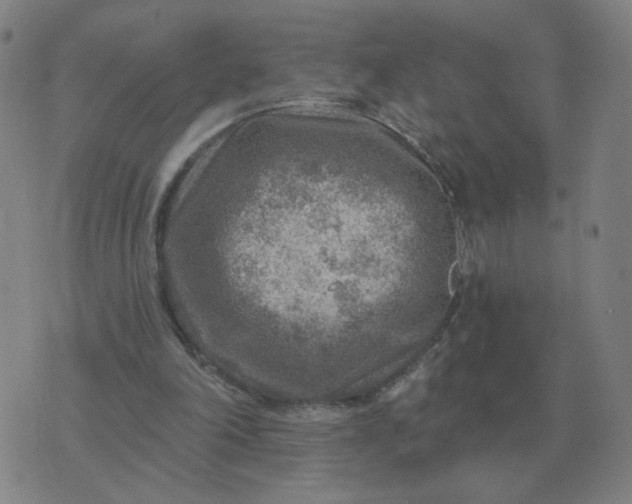 X0000074340198200609082106