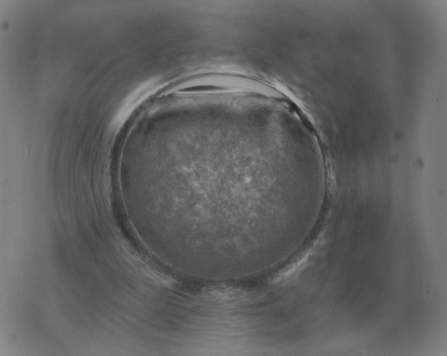 X0000074340199200609082105