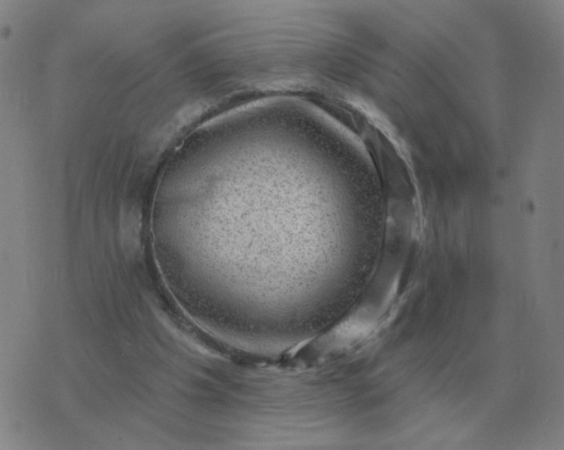 X0000074340201200609082105