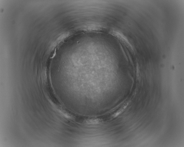 X0000074340202200609082105