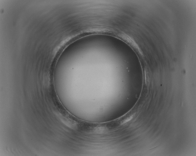 X0000074340204200609082105