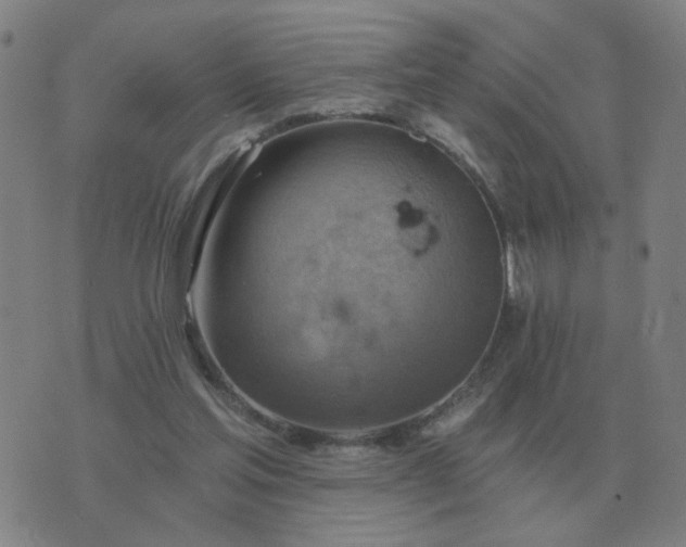 X0000074340205200609082105