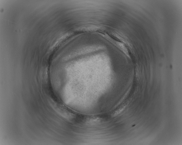 X0000074340206200609082105