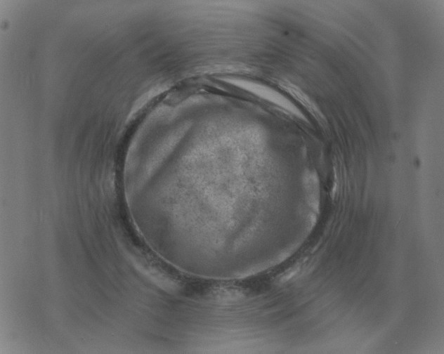 X0000074340207200609082105