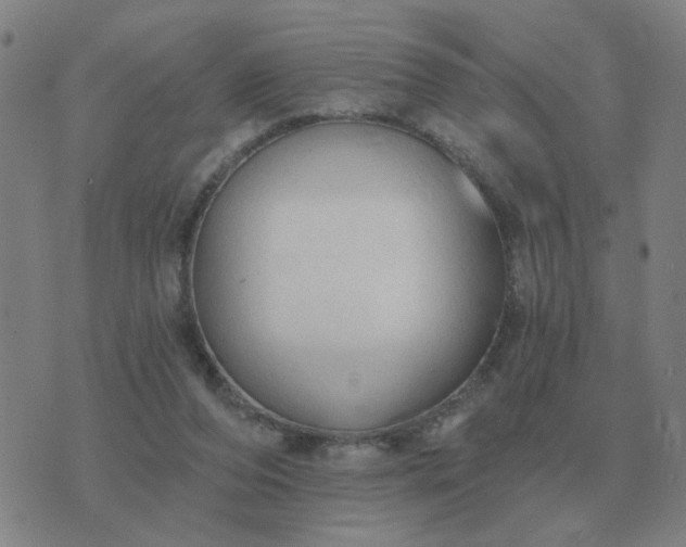 X0000074340208200609082105