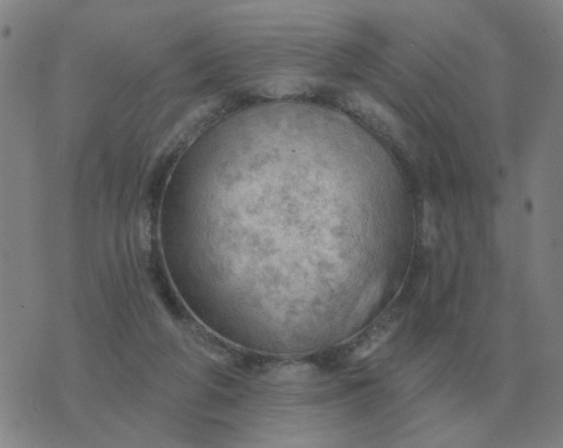 X0000074340210200609082105