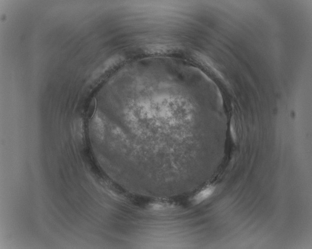 X0000074340211200609082105