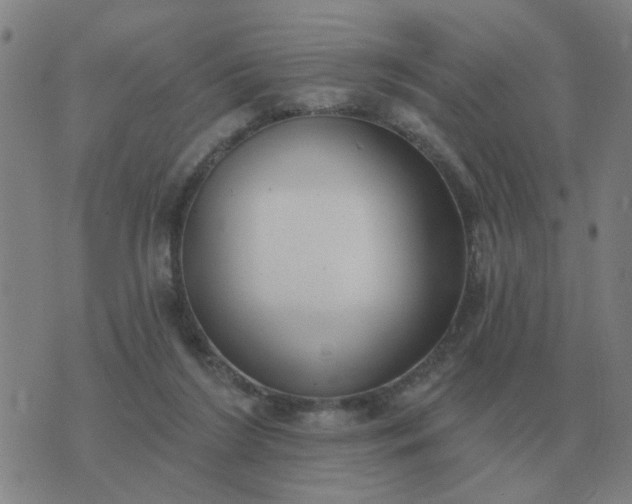 X0000074340212200609082105