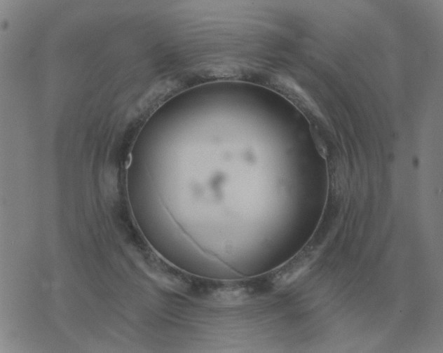 X0000074340213200609082105