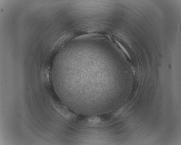 X0000074340214200609082105