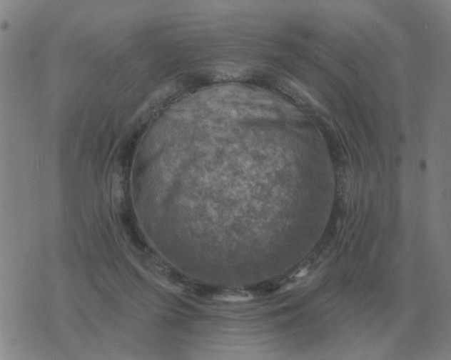 X0000074340215200609082105