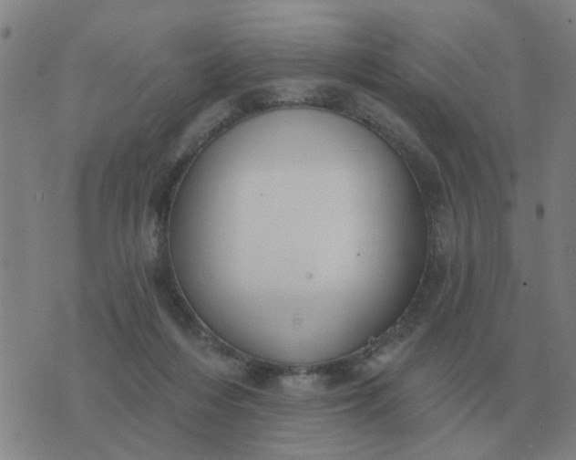 X0000074340216200609082105