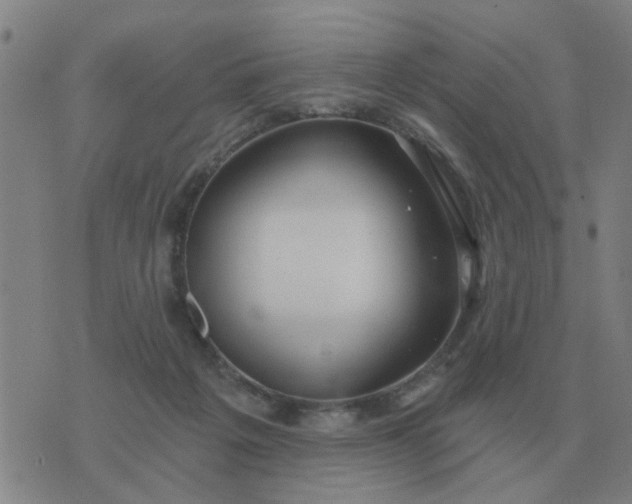 X0000074340217200609082105