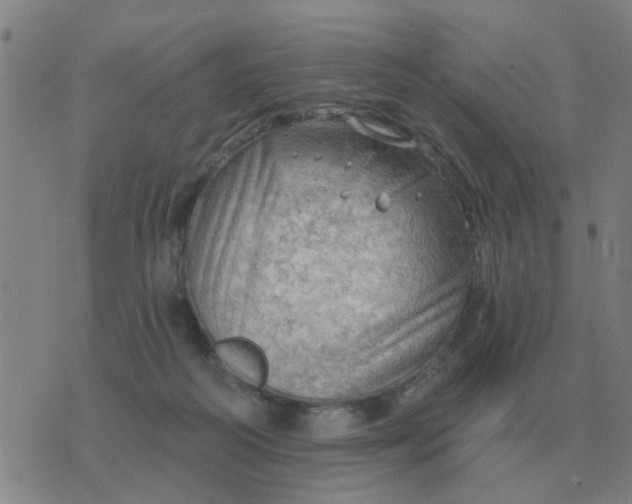 X0000074340218200609082105