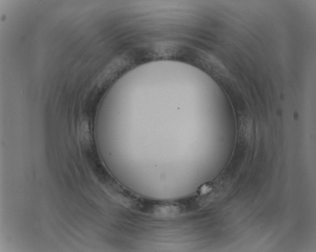 X0000074340220200609082105