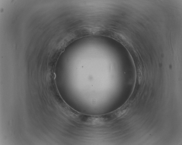 X0000074340221200609082105