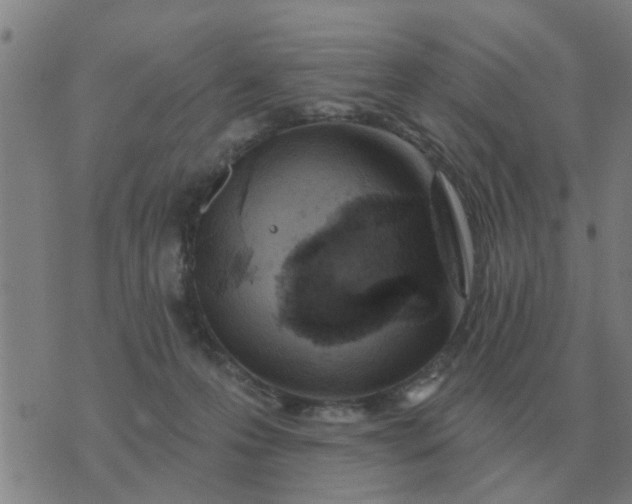 X0000074340223200609082105