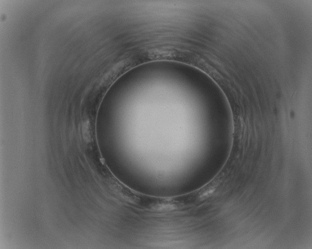 X0000074340224200609082105