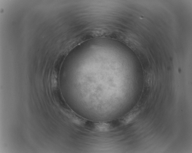 X0000074340226200609082105