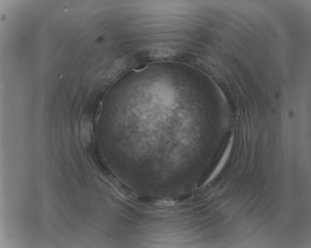 X0000074340227200609082105