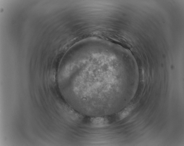 X0000074340230200609082105