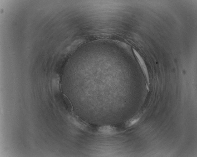 X0000074340231200609082105