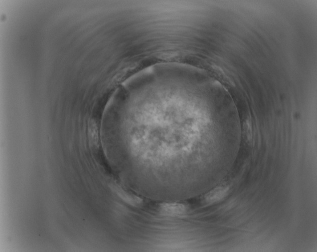 X0000074340234200609082105