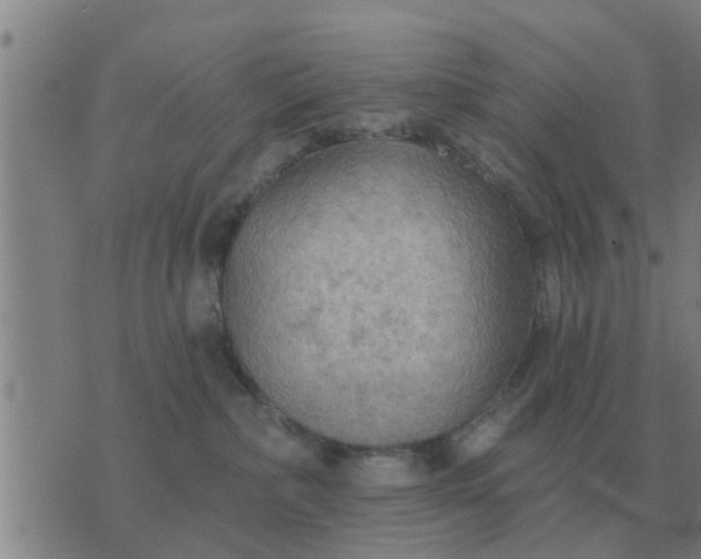 X0000074340236200609082105