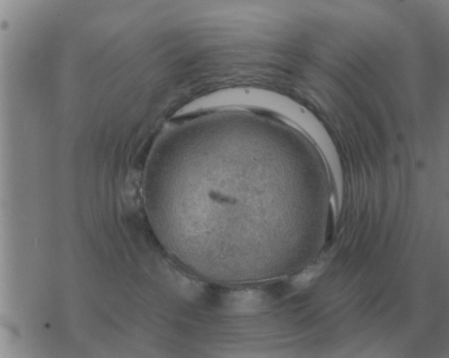 X0000074340237200609082105