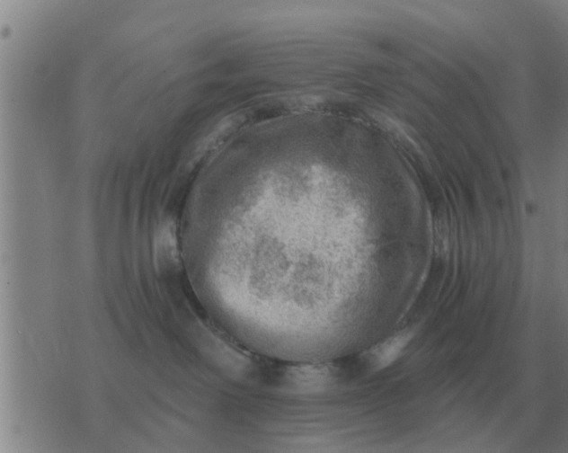 X0000074340238200609082105