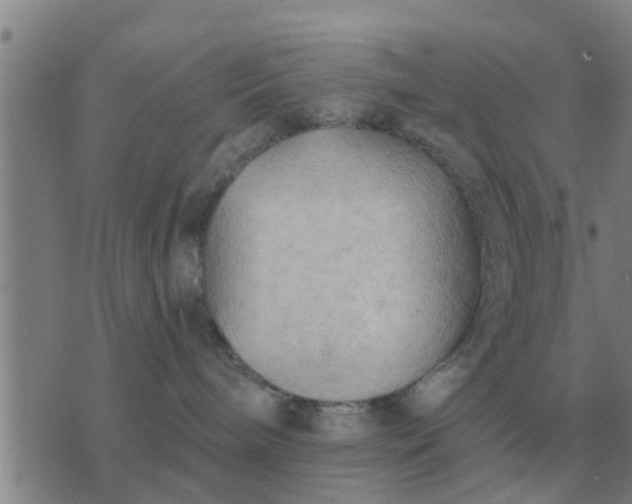 X0000074340240200609082105