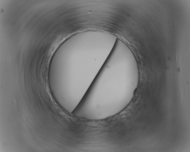 X0000074340241200609082104