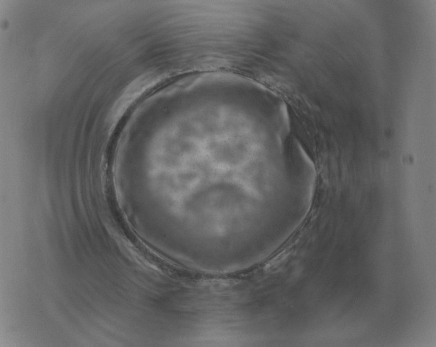 X0000074340242200609082104